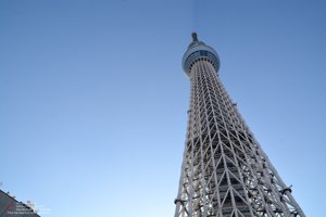 20180110133102_NIKON D7100.jpg